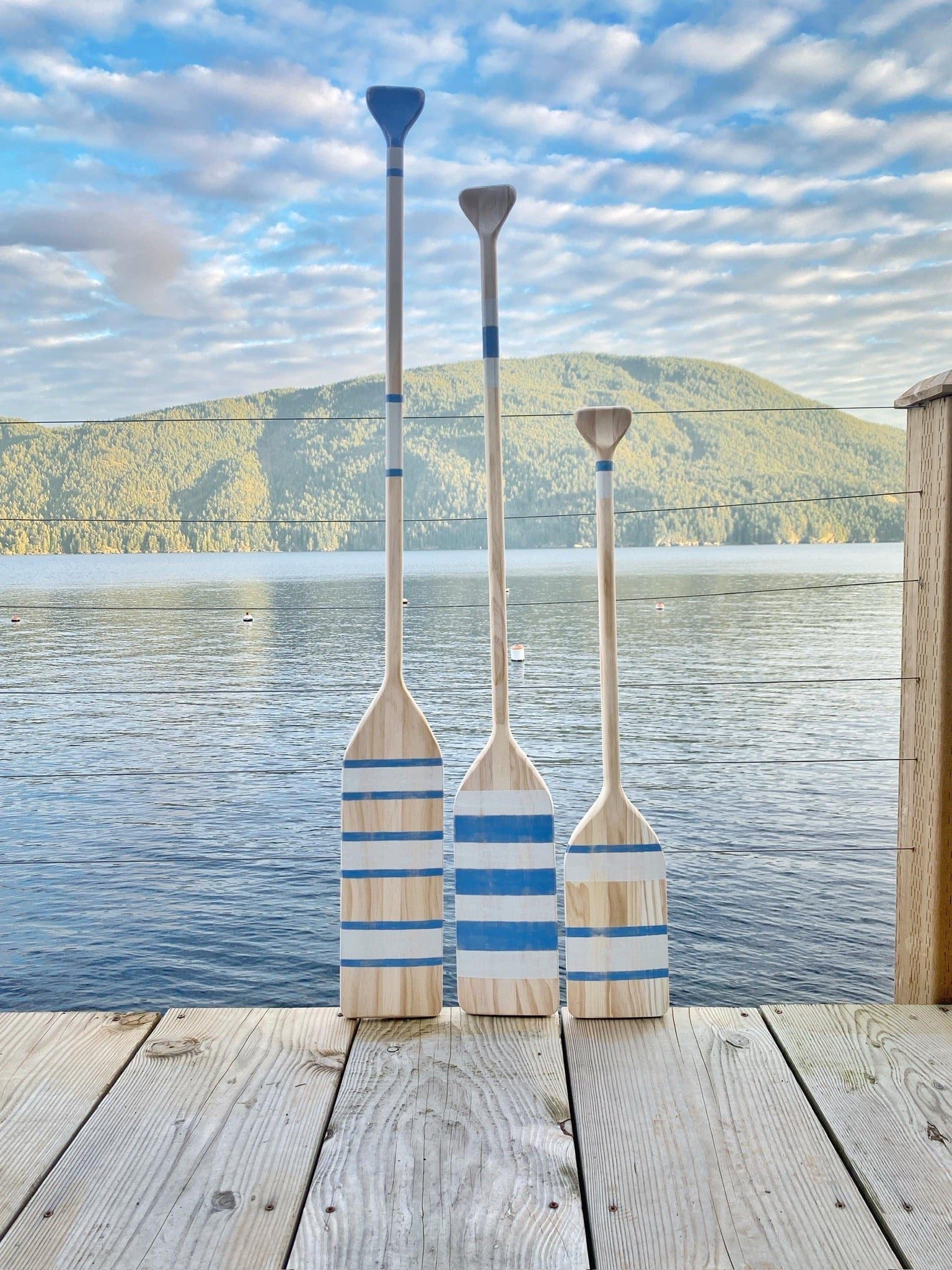 The Best Personalized Lake House Gift: A Custom Painted Paddle
